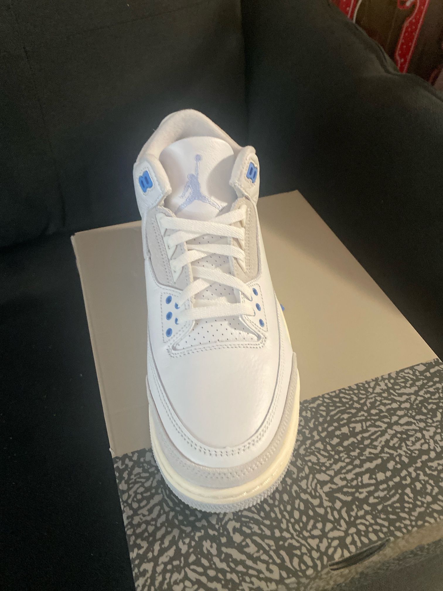 Brand New Jordan 3s 10.5