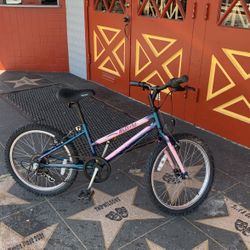 Giant? Natasha 6 Speed  Mountain Bike Good Condition 20imch