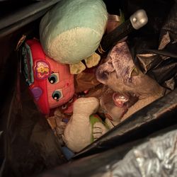 Toddler Toys