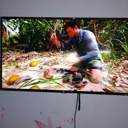40 In Roku Tv