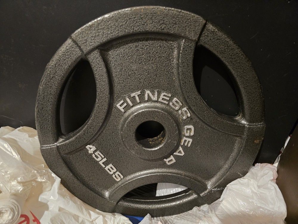 45 LB Plate 