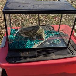 10 Gallon Critter Tank
