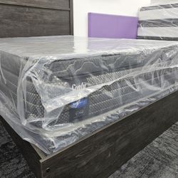 Sealy Queen Size Pillowtop Mattress With Box Spring