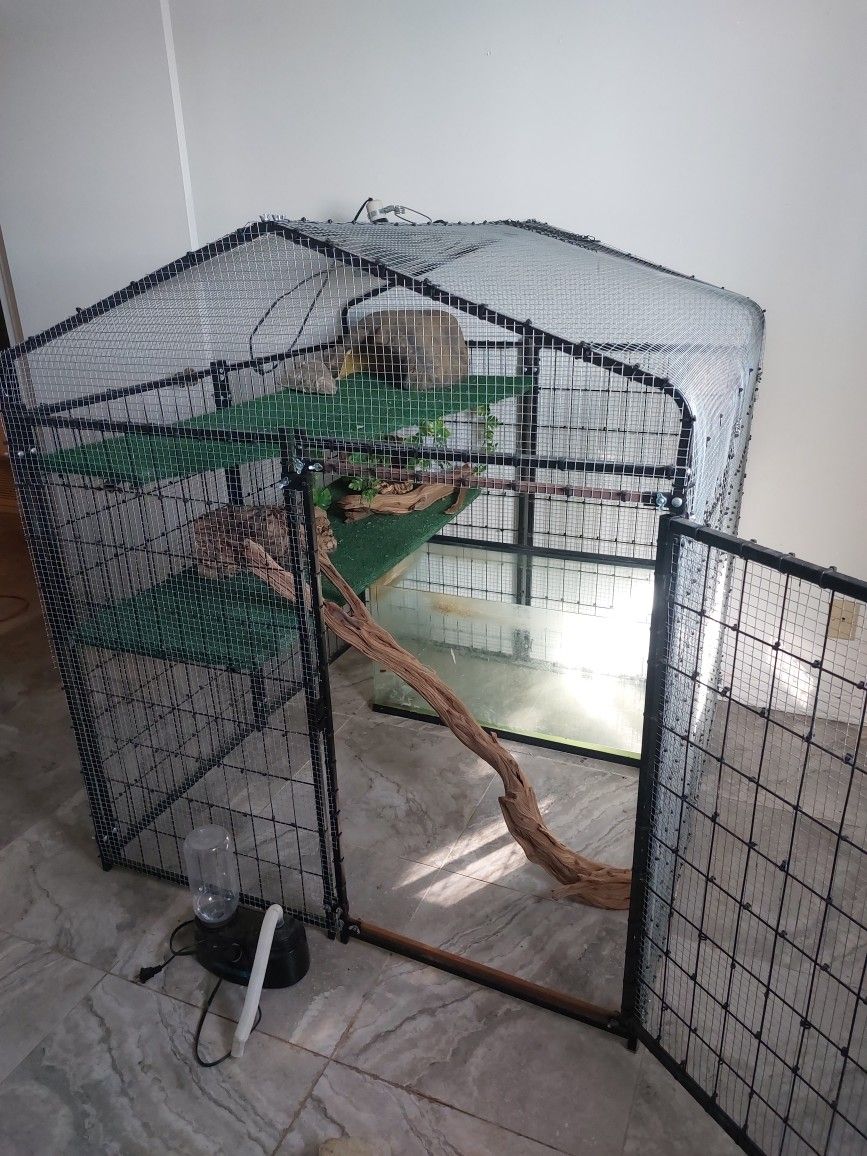 Reptile Cage