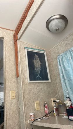 Fish print wall hanging Picture