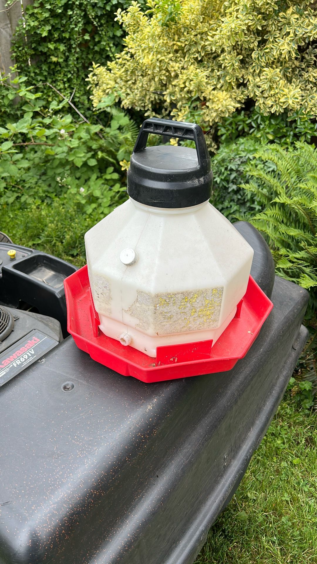 Chicken Watering System