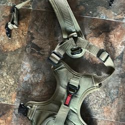 Dog Harness