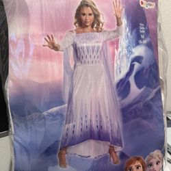 Elsa Frozen adult costume 