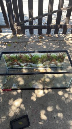 It’s a reptile glass supreme tank with slide off top and comes with water bowl,rock,net so the reptile can hang out on it