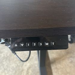 Electric Sitting/Standing Adjustable Desk