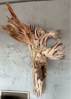 Large Skeleton Cactus Wall Art Sculpture