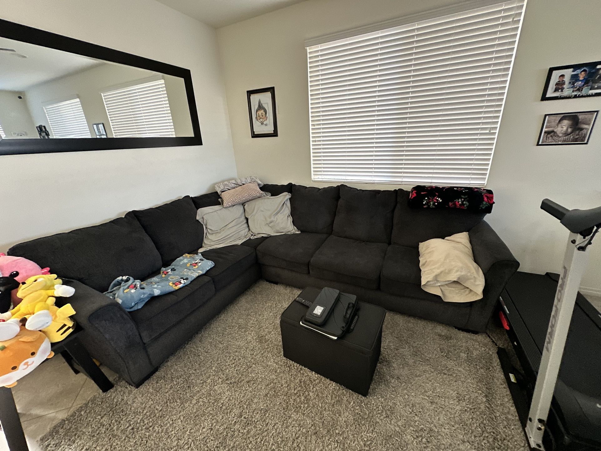 L shaped Sectional Couch