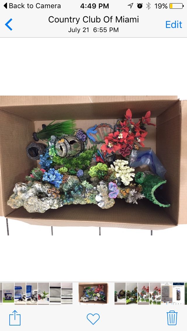 Assorted Fish Plants and Ornaments