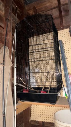 Birdcage