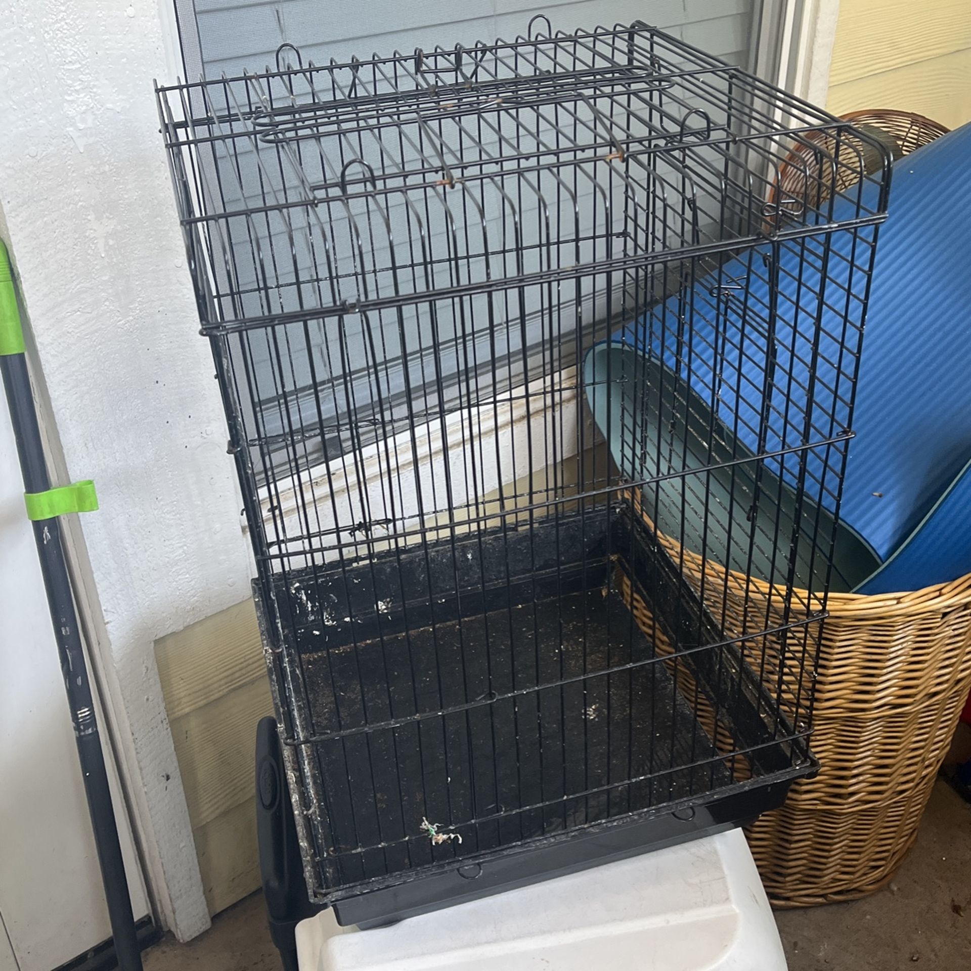 Bird Cage