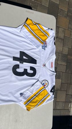 Troy Polamalu Pittsburgh Steelers
