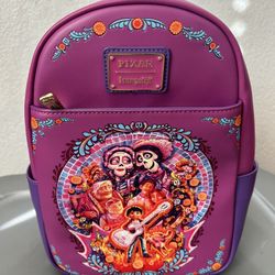 Disneyland Backpack. Anyone Wants It?