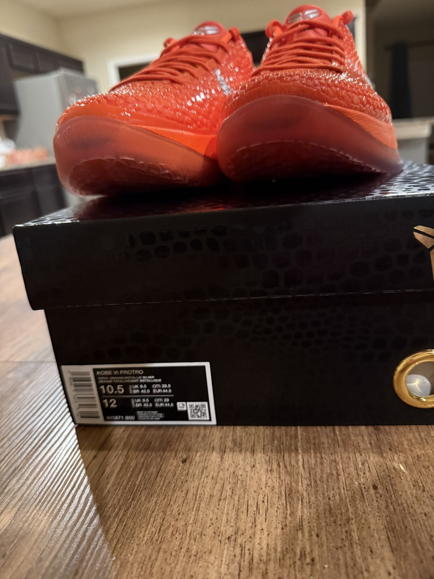 Nike Kobe 6 Protro /