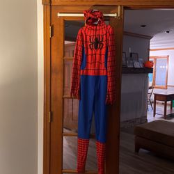 Spider-Man Costume 