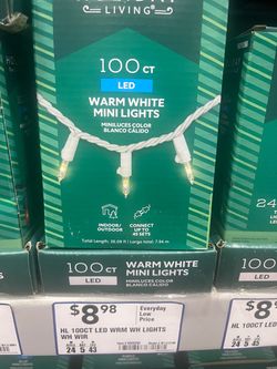 Small twilight Christmas lights 100 count