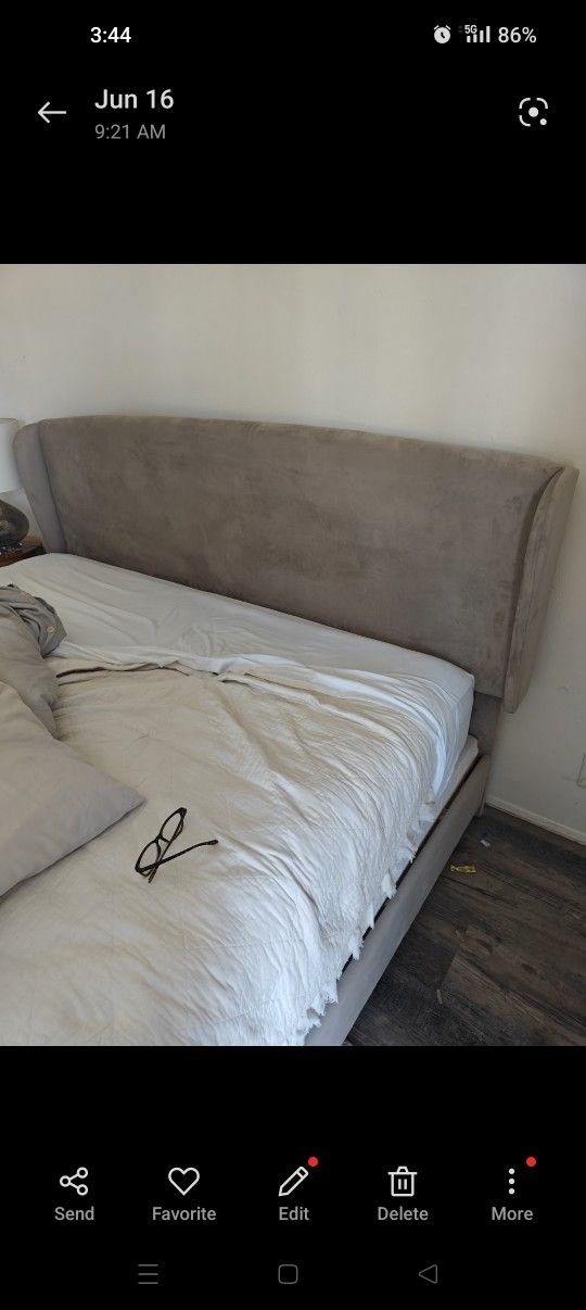 DEALS! Bed Rugs Plants And More!! 2 Days Only!