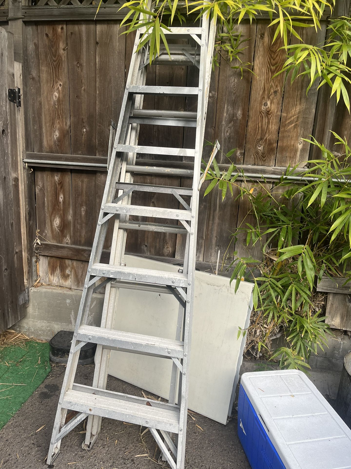 6 Foot Painters Ladder