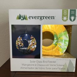 Open Box- Evergreen  Glass Circle Bird Feeder