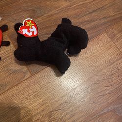 Rare TY Beanie