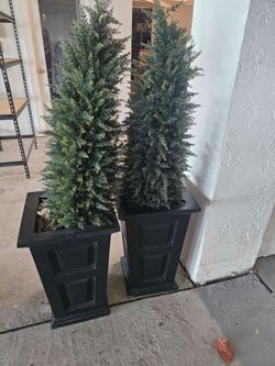 Set of 2 planters for front door