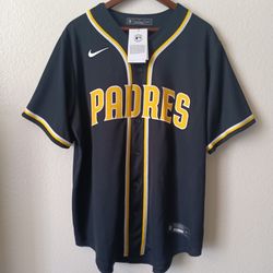 Size L Fernando Tatis Jr San Diego Padres Men's Nike Blackout Jersey