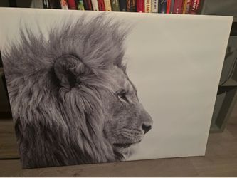 King of the Jungle
