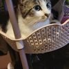 Samantha 