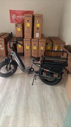 Trekcraze cargo e-bike for family