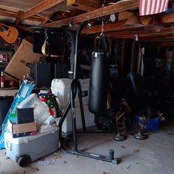 Everlast Punching Bag 
