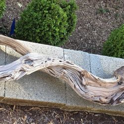 2 Big Reptile Branches Terrarium Cage Extra Large  Snakes Lizards Iguanas