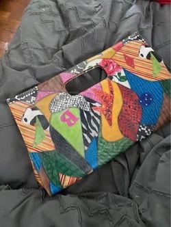 Multi colored clutch purse