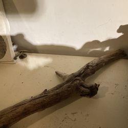 Log Wood Piece 