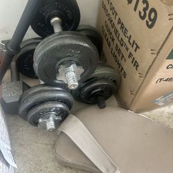 Bench Press And Free Weight Dumbbells 