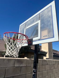 Lifetime Basketball Hoop