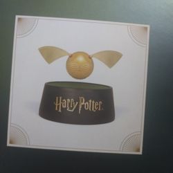 Harry Potter Floating 