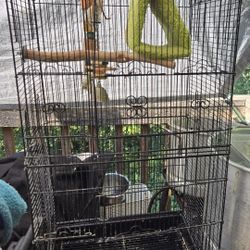 Birds cage
