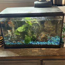 10 Gallon Top Fin Glass Aquarium 