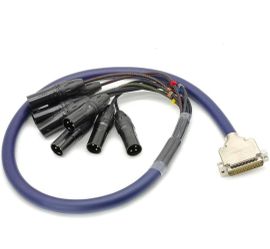 DB25 to XLR Male snake cable