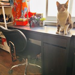 Desk and Rolling Chair
