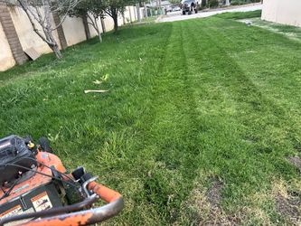 Sprinklers mulch sod