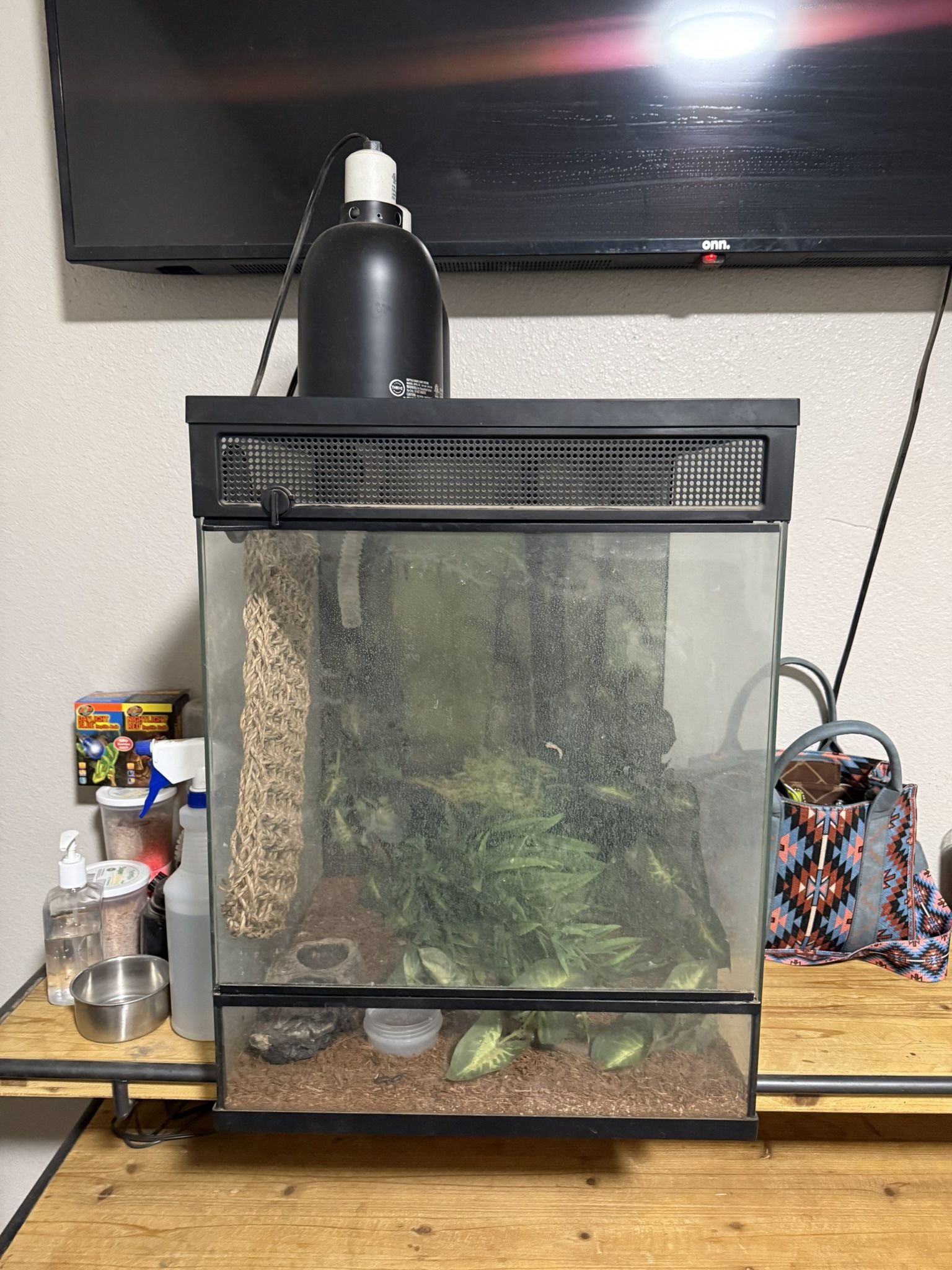 Reptile Enclosure