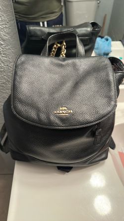 Backpack coach
