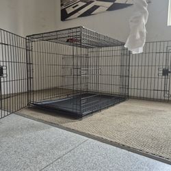 DOG CAGE:  Price Negotiable 