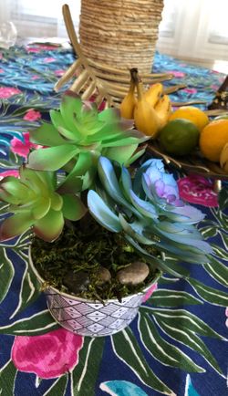 Hand made succulent