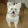 Otilia